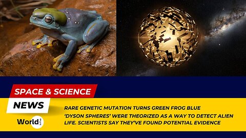 Rare Genetic Mutation Turns Frog Blue | Scientists Find Potential Evidence of 'Dyson Spheres