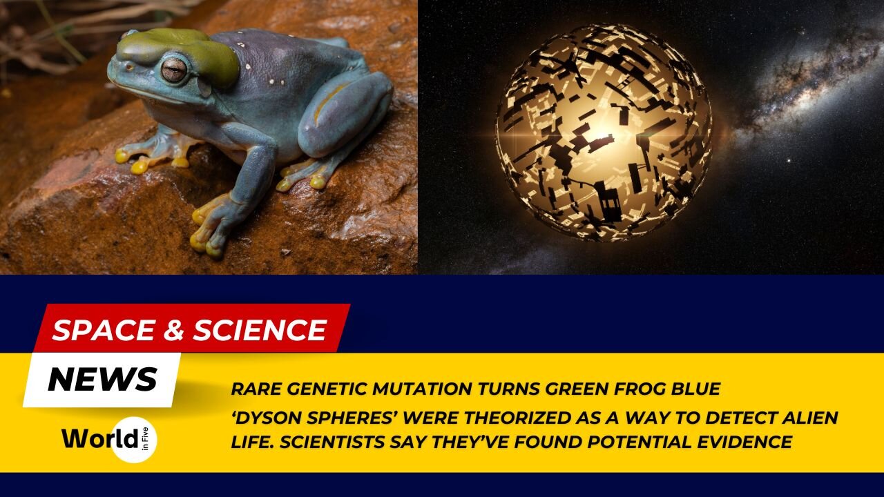 Rare Genetic Mutation Turns Frog Blue | Scientists Find Potential Evidence of 'Dyson Spheres