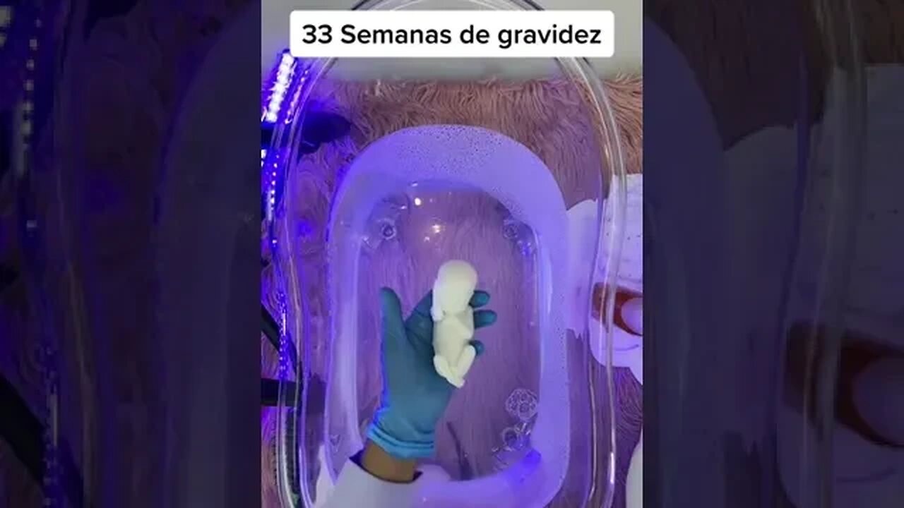 33 Semanas de gravidez, olha essa maquete do tamanho real