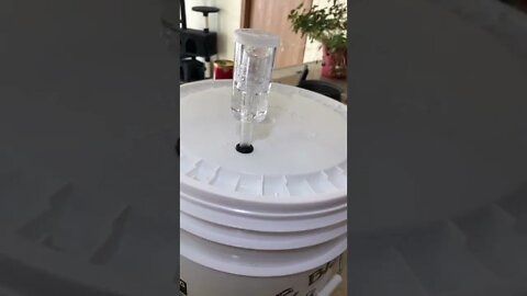 Update video on progress of a stout beer fermentation has set in Link making the beer in description