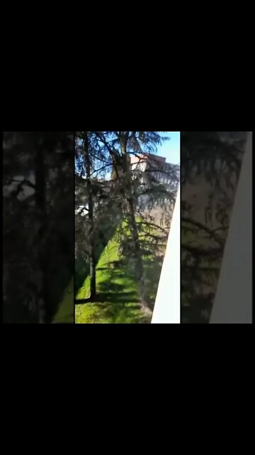 Vento forte, alberi caduti a Milano oggi