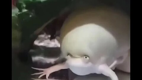 WTF ???!!!!