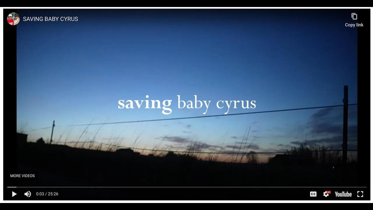 SAVING BABY CYRUS