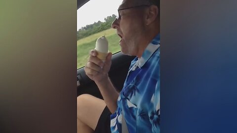 Funny video compilation 22 / best jokes with people and animals