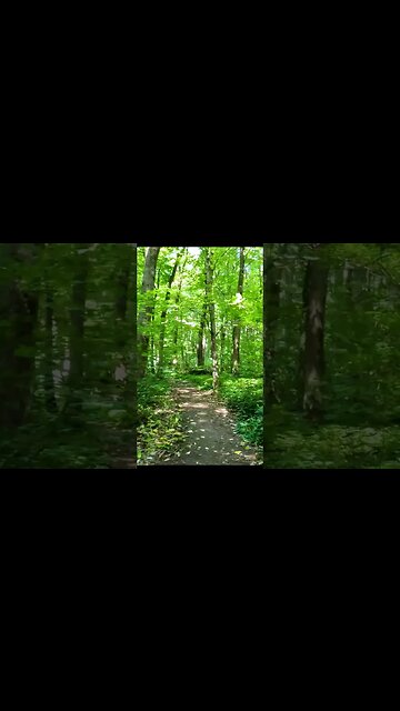 BANEASA Forest - Trailer, Bucharest - Ilfov | 4k Virtual Tour | #shorts