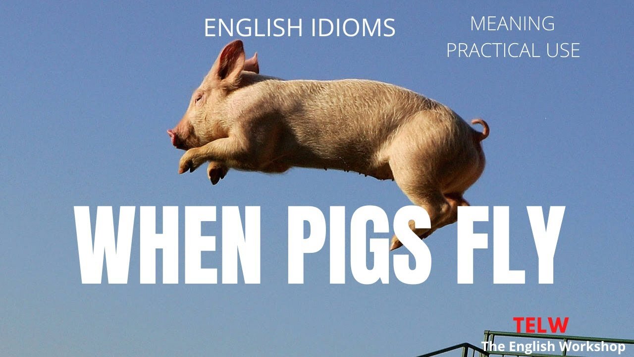 The Odd Origins of Common Idioms | Sons of Thunder