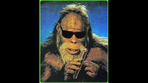 Bigfoot 101