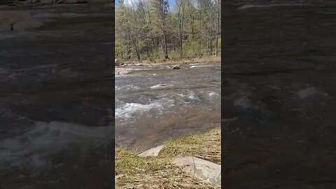 Beautiful Spring Day... 🏞️