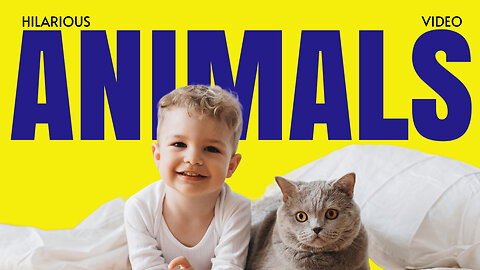 The Funniest Animal Fails Ever! Cute Pets and Wild Animals Acting Crazy