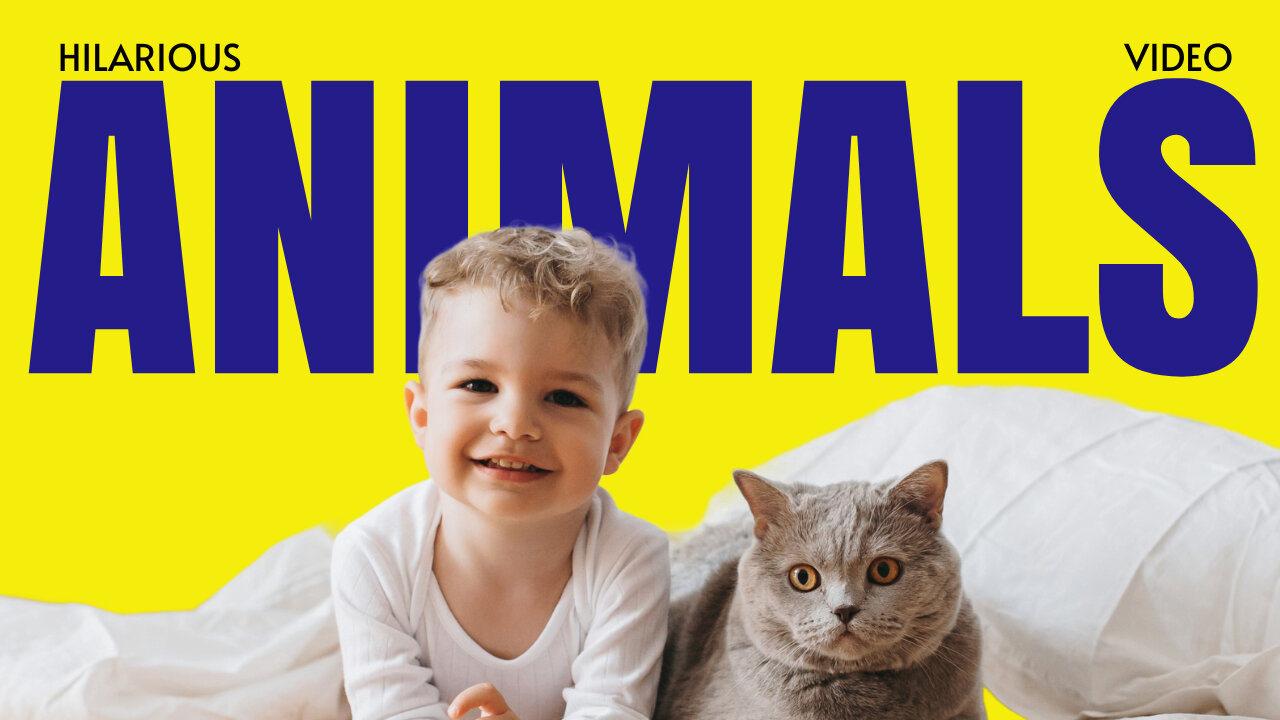 The Funniest Animal Fails Ever! Cute Pets and Wild Animals Acting Crazy