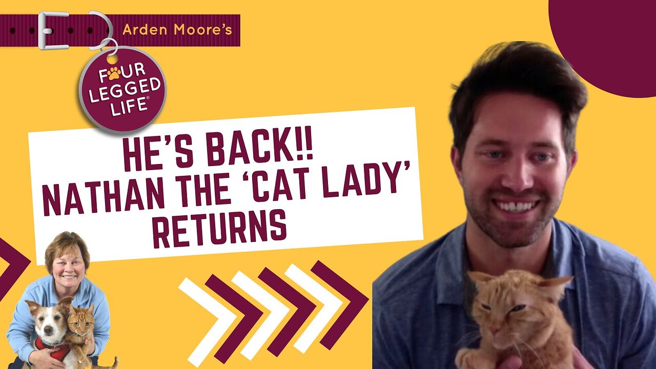 He's Back! - Nathan the Cat Lady Returns