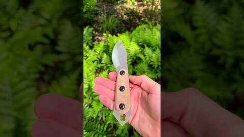 2023 Skur videos are LIVE on Shed Knives YouTube! | Shed Knives #shedknives #shorts