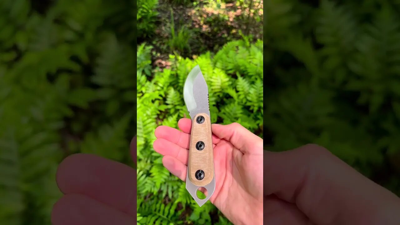 2023 Skur videos are LIVE on Shed Knives YouTube! | Shed Knives #shedknives #shorts