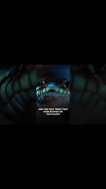 “The Simulation” EXPLAINED 👀