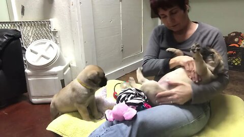 LonelyCreek Finny girls. Heart hashtags n stars