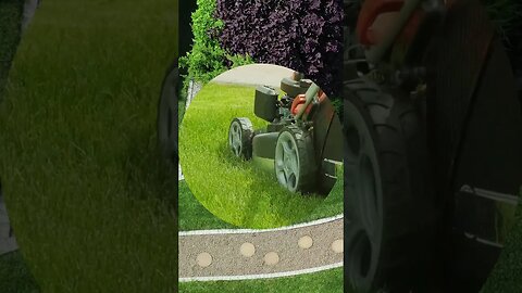 Lawn care professional shares tips to prepare your yard for the summertime heat.
