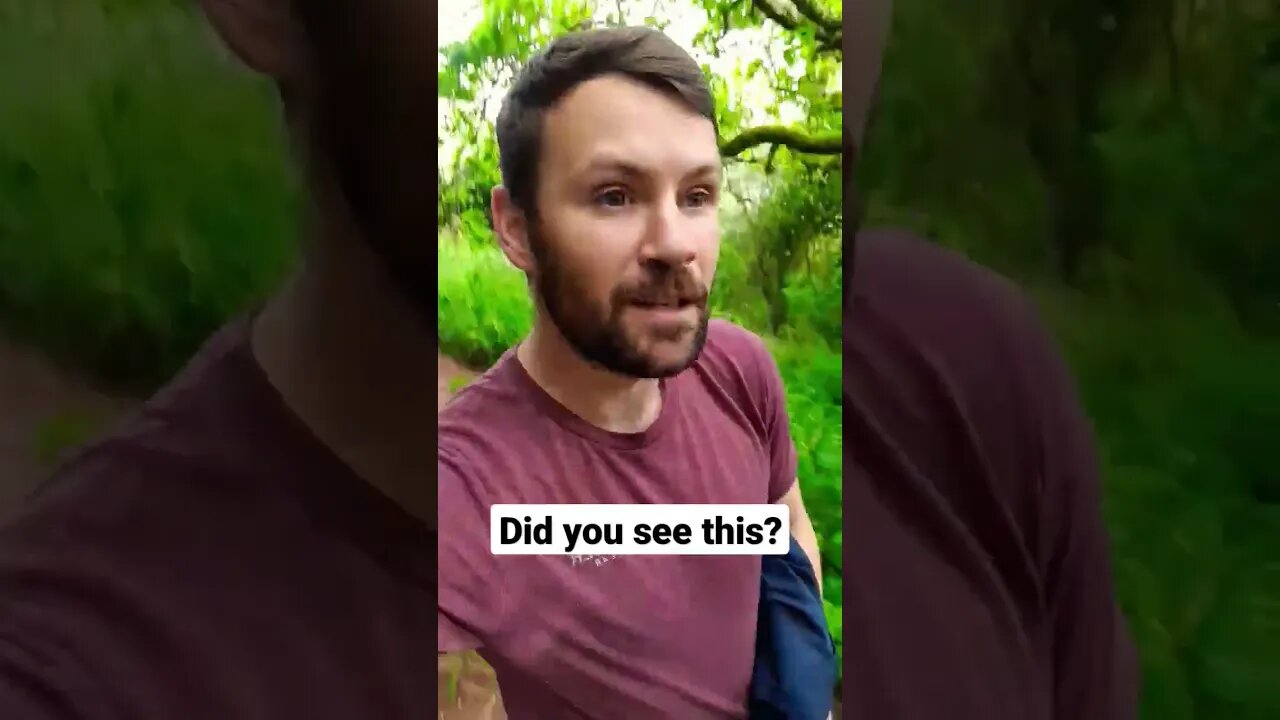 Thought I would ask