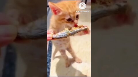 funny eating #photoediting #video