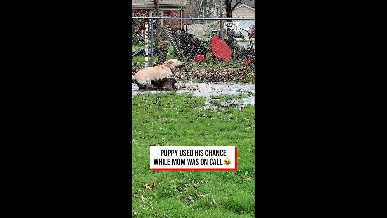 he's so happy