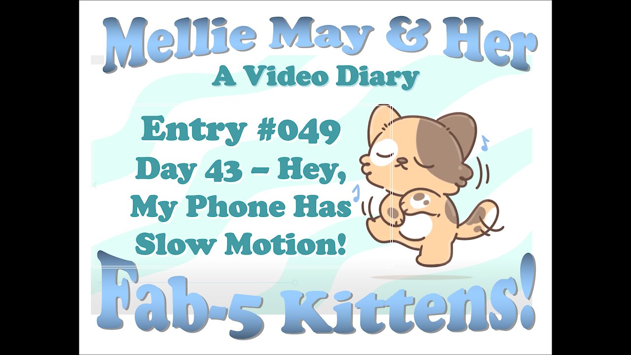 Video Diary Entry 049: Day 43 WOW! My Phone Has Slow Motion Video!
