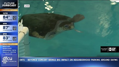 Sean Daly live at the Florida Aquarium in Apollo Beach | 7AM