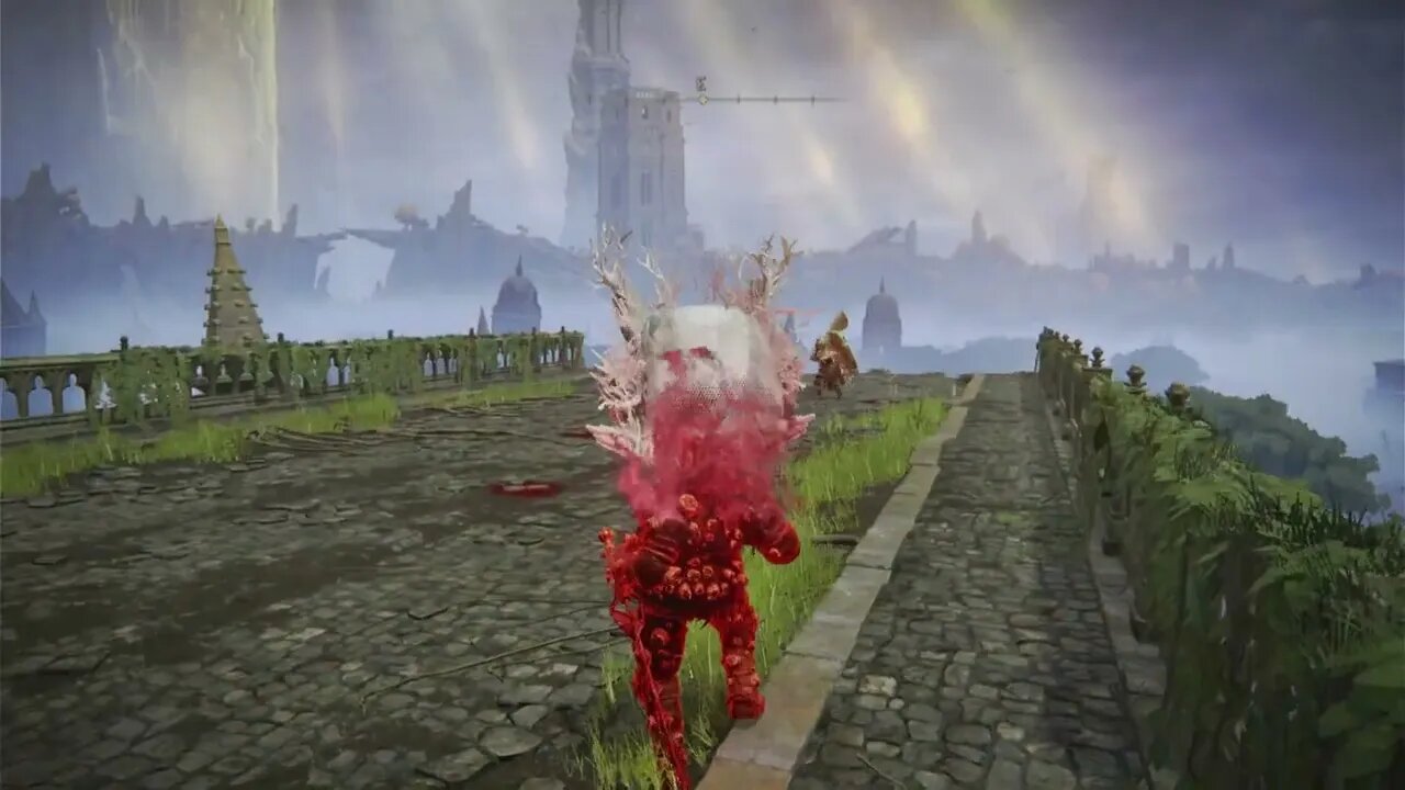 Elden Ring invasions #72