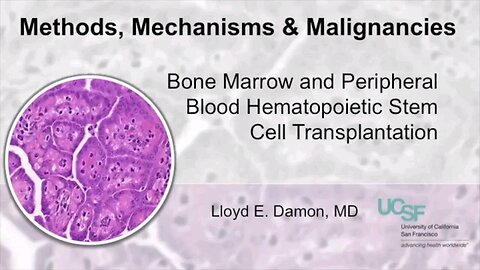 How Does Bone Marrow and Stem Cell Transplantation Work?
