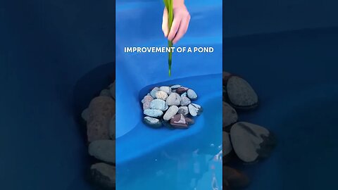 Pond-erful DIY: Get Inspired with Fun and Creative Pond Projects!