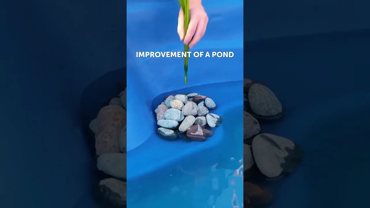 Pond-erful DIY: Get Inspired with Fun and Creative Pond Projects!