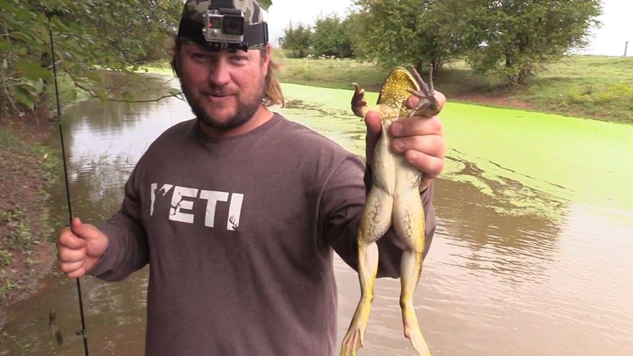 CATCHING BULLFROGS WITH ROD AND REEL