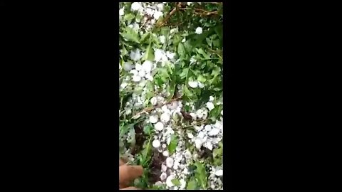 ACONTECE: IMAGENS IMPRESSIONANTES DA CHUVA DE GRANISO EM PIRAÚBA MG