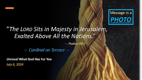 The Lord Sits in Majesty, Exalted Above All the Nations *Cardinal on Terrace* (Jul 6, 2024)