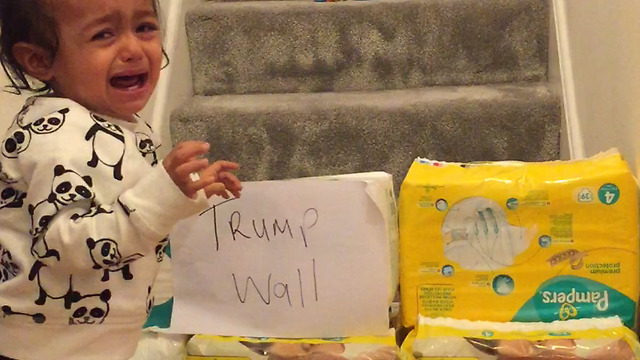 Babies reaction to Trump's Wall