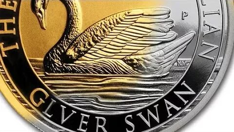 Silver Swan Mania!! GOLD!?