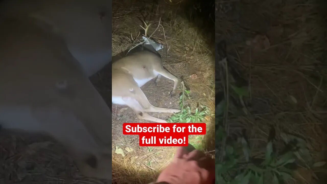 12 year old kills 2 Georgia Bucks!