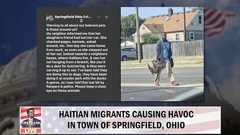Haitian Migrants Causing HAVOC in Springfield, Ohio!