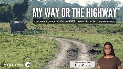 My Way or The Highway- A Documentary on the Protection of Wildlife Corridors in Kaziranga