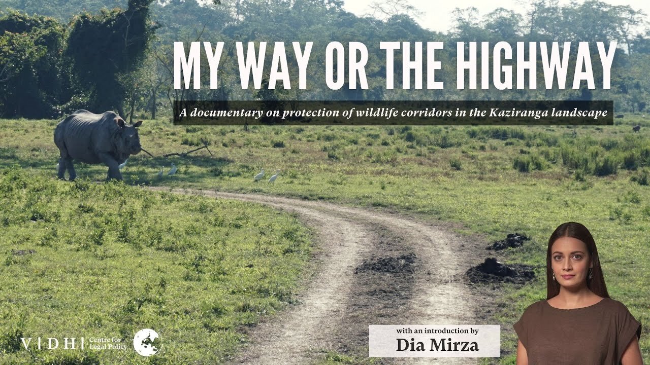 My Way or The Highway- A Documentary on the Protection of Wildlife Corridors in Kaziranga