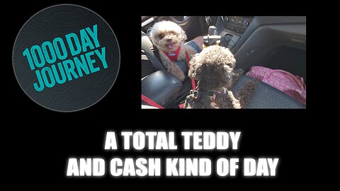 1000 Day Journey 0465 A Total Teddy & Cash Kind of Day