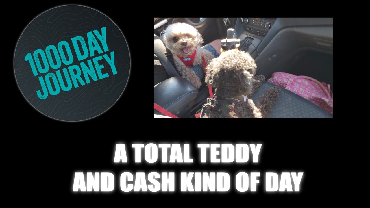 1000 Day Journey 0465 A Total Teddy & Cash Kind of Day