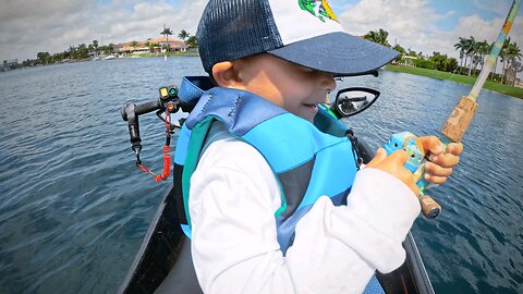 Lure Catches invasive fish instantly!