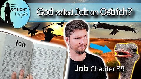 THE BOOK OF JOB- part 10 - God Rebukes Job! -Bible Study (Chapter 39)