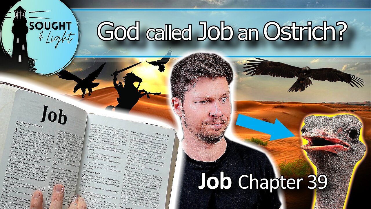 THE BOOK OF JOB- part 10 - God Rebukes Job! -Bible Study (Chapter 39)