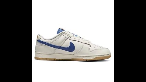 Nike Dunk Retro Court Glide Men and Women Sneakers