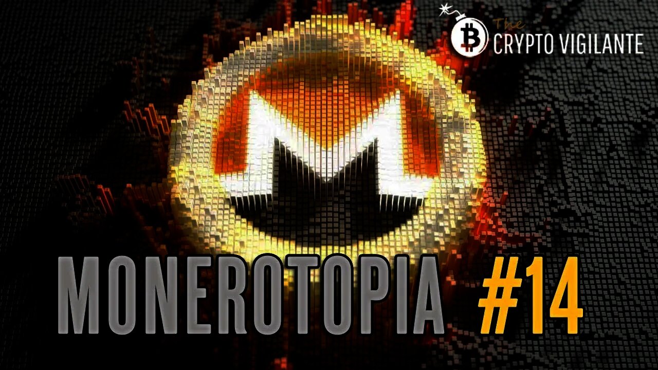 Mr. W - Monero Talk Price Report on MoneroTopia Episode #14 - May 2, 2021