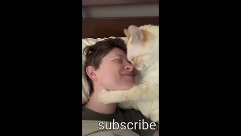 cat love