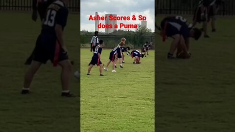 My nephew Asher scores a touchdown and a puma scores dinner