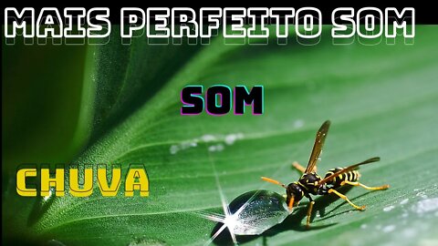 Mais Perfeito Som de chuva suave Para Adormecer a Noite Toda