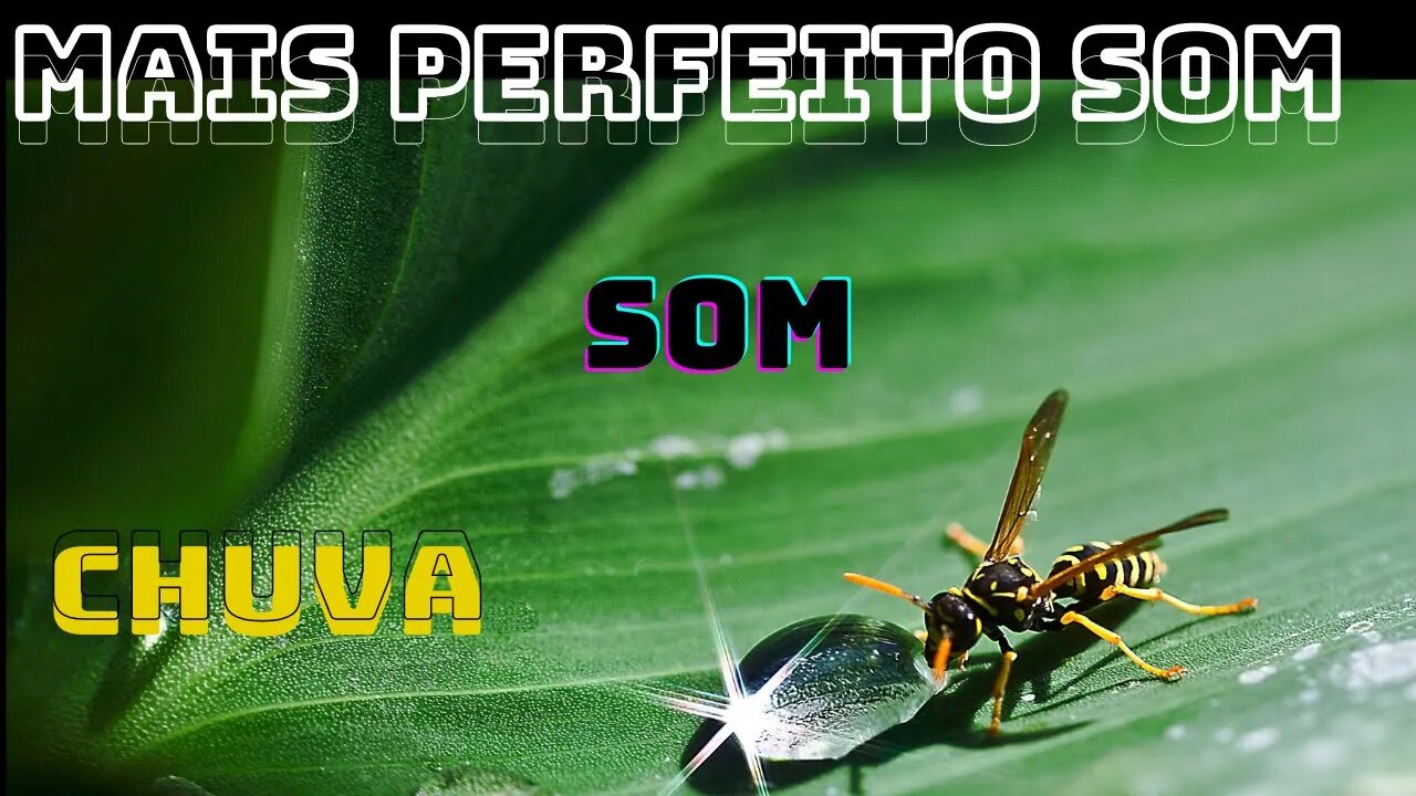 Mais Perfeito Som de chuva suave Para Adormecer a Noite Toda