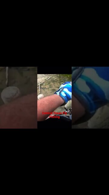 #shorts #fishing #bassfishing #rivers #bass #whitebass #texas #trout Central Texas Fly Fishing